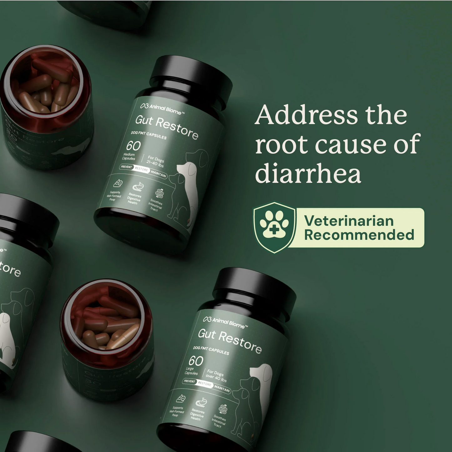 Gut Restore for Dogs
