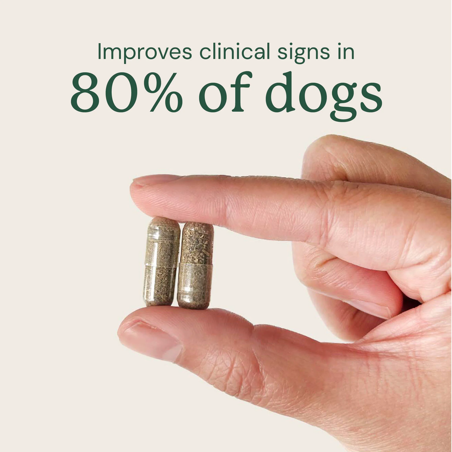 Gut Restore for Dogs