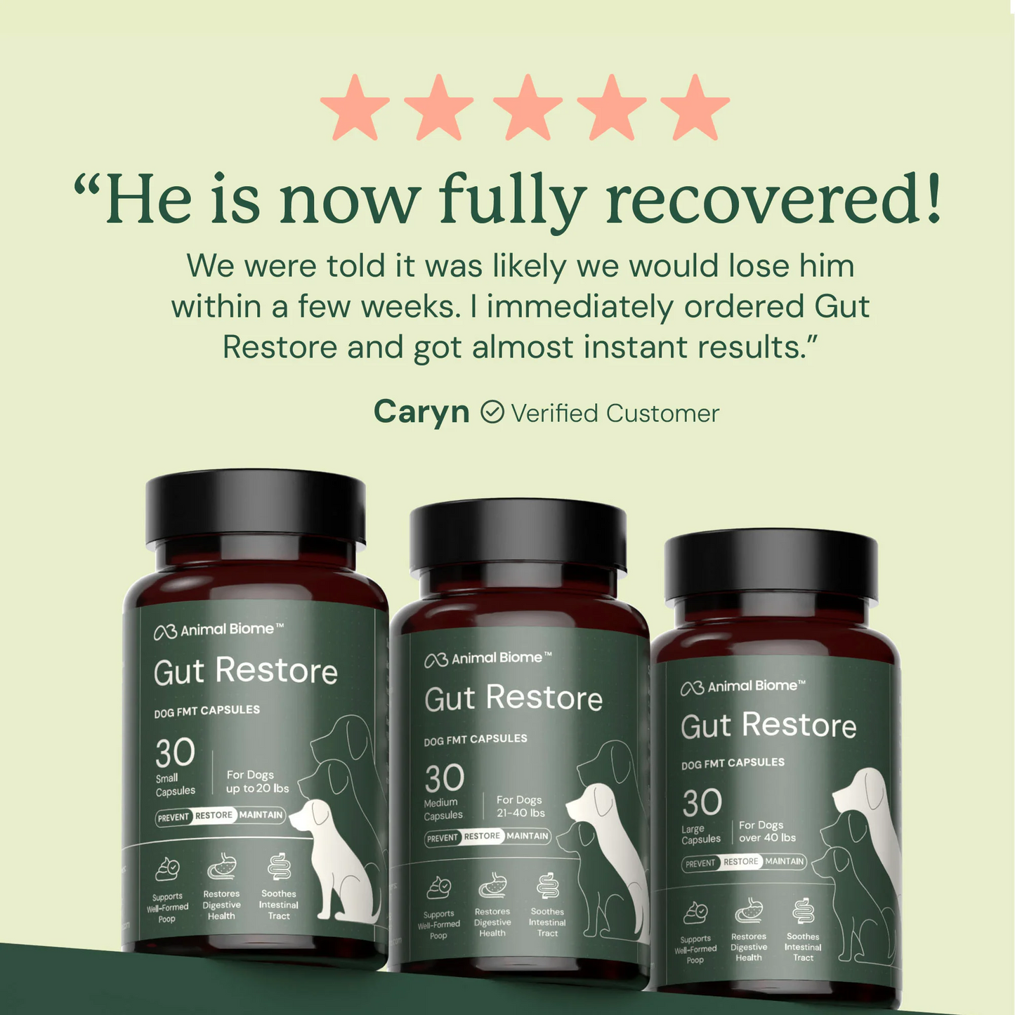 Gut Restore for Dogs