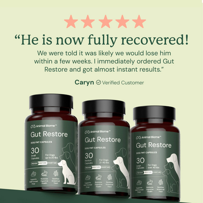 Gut Restore for Dogs