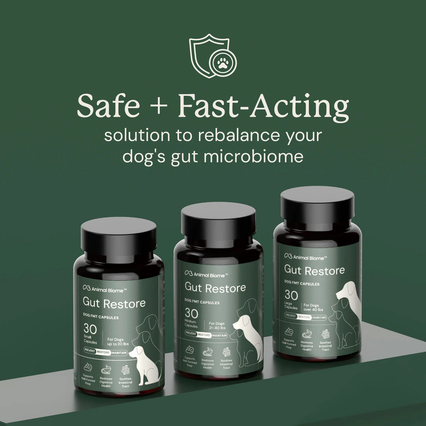 Gut Restore for Dogs